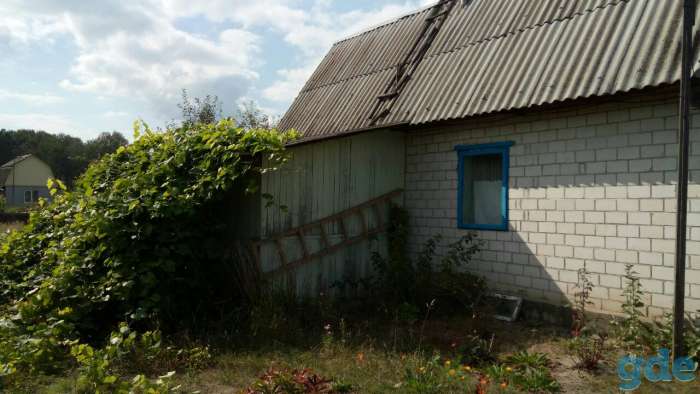 ДАЧА, Лески д.Лески 7 Борщёвский сельский Совет Речицкий район область, фотография 2