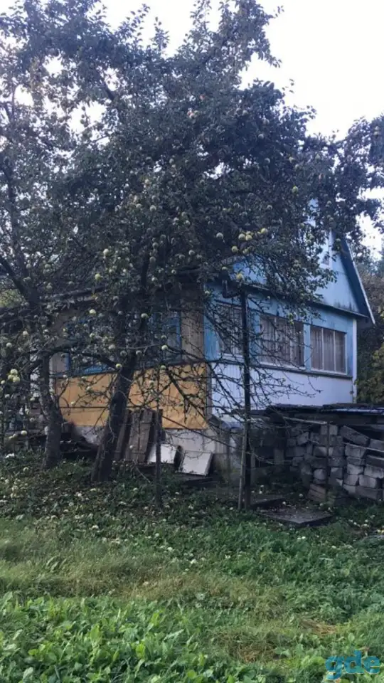 Продам дачу, Гродненская обл, горский р-н. д. Перелом с/и Юность, фотография 1