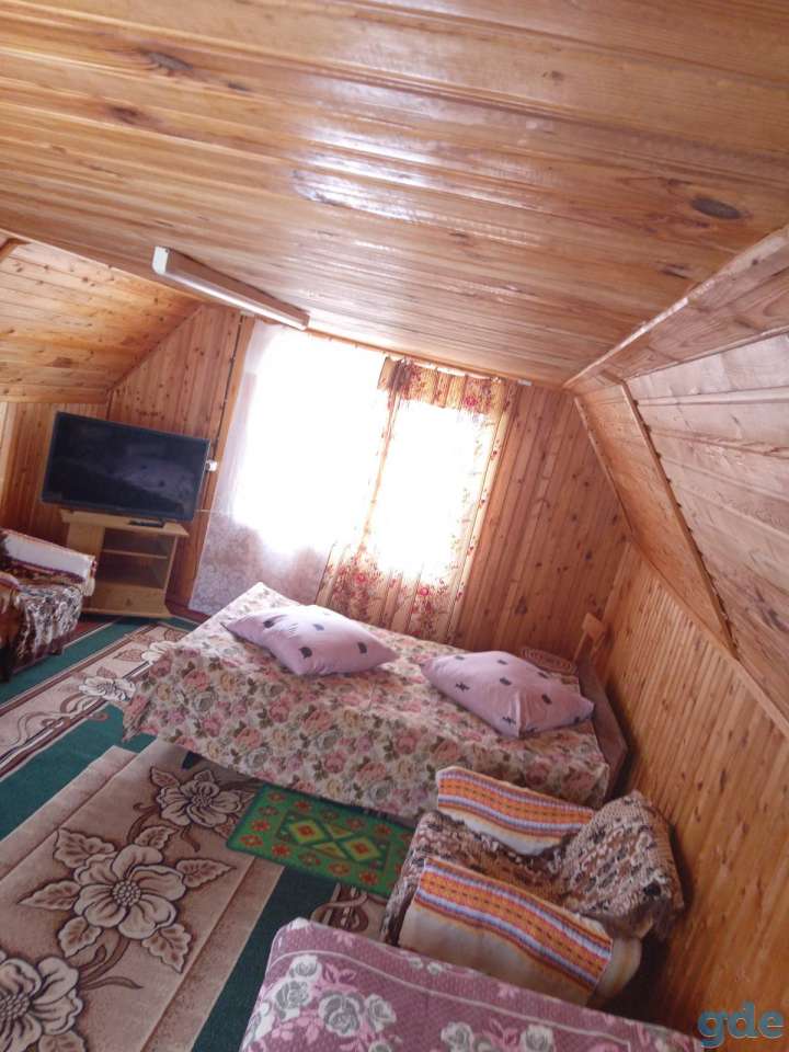 Отдых на Браславских озерах., фотография 4