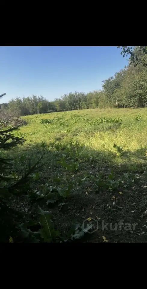 Продается кирпичный дом на Ольшанке с участком 24, Старая Ольшанка ул, Гродненская область, фотография 4