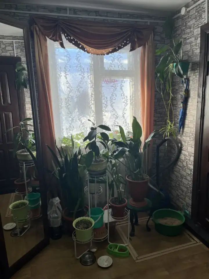 Продажа квартиры, ул. Пионерская, д. 55, кв. 1, фотография 3