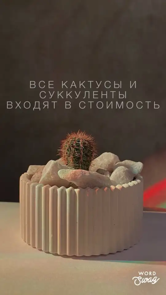Растения, фотография 14