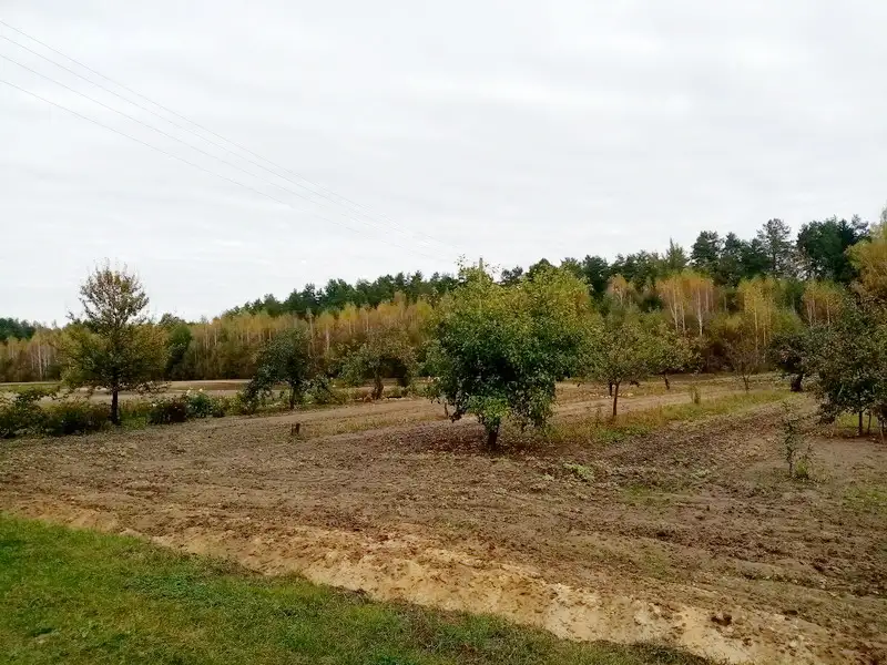 Предложение для тех, кто хочет иметь своё дело., фотография 11