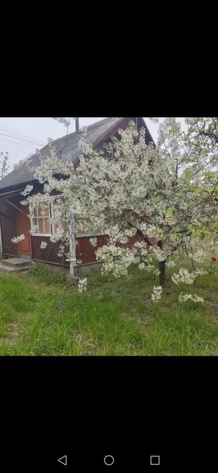 Продам дачу. д.Купятичи, ст Ясельда., фотография 1