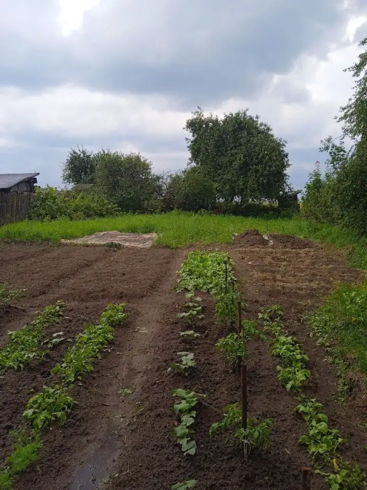 Продам дом в деревне, Бояры, 2, фотография 9