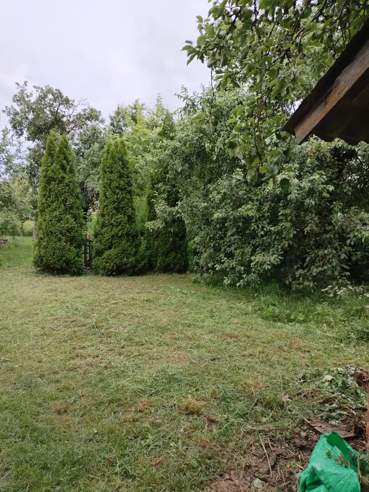 Продажа дома, Д. Хальч. обл. Ветковский р-н., фотография 5