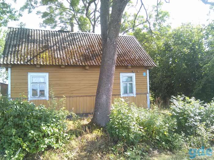 Продам дом на хуторе. Брашевичский сельсовет, фотография 6