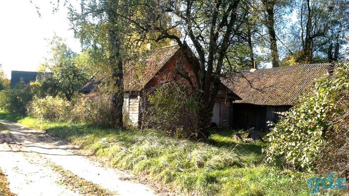 Дом у реки, д.Русаки Поставского района, курапольский с/с, фотография 6