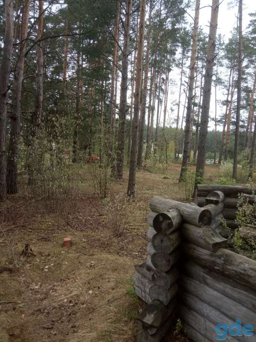 Продам земельный участок, Бешенковический район д.Хмельник, фотография 1
