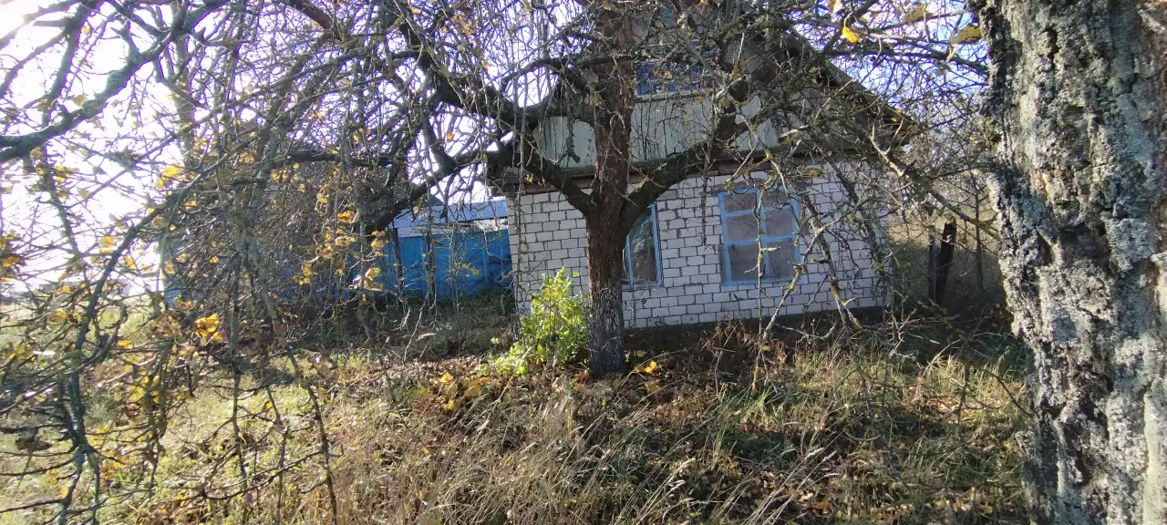 Участок с домом, П. Красный Октябрь, область, Буда-Кошелевский р- н., фотография 6