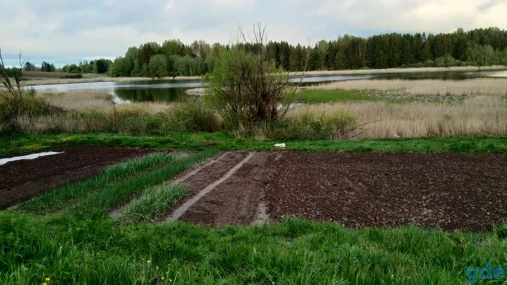 Дом в агрогородке Ленино Горецкого района, фотография 6