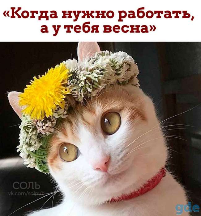 Производственная база, фотография 1