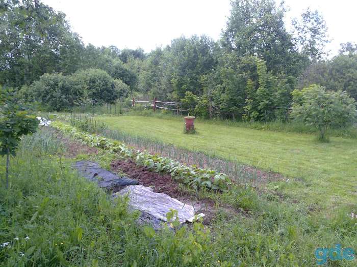 Продам дом с участком, фотография 5