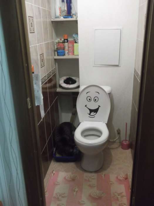 Продам 1-к. квартиру в г.Старые Дороги, фотография 4
