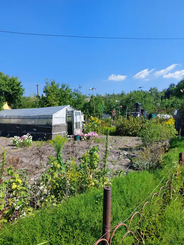 Продажа дачи, Брестская обл., Березовский р-н, Соколовский с/с, СТ 