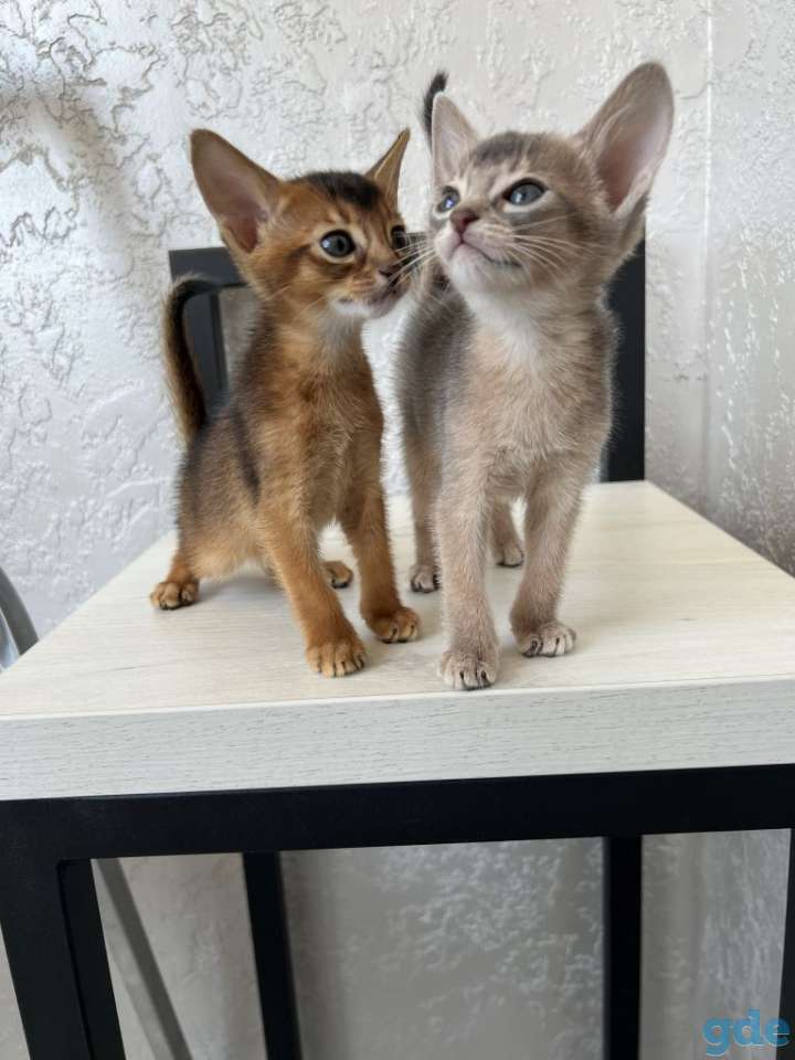 Продам, фотография 7