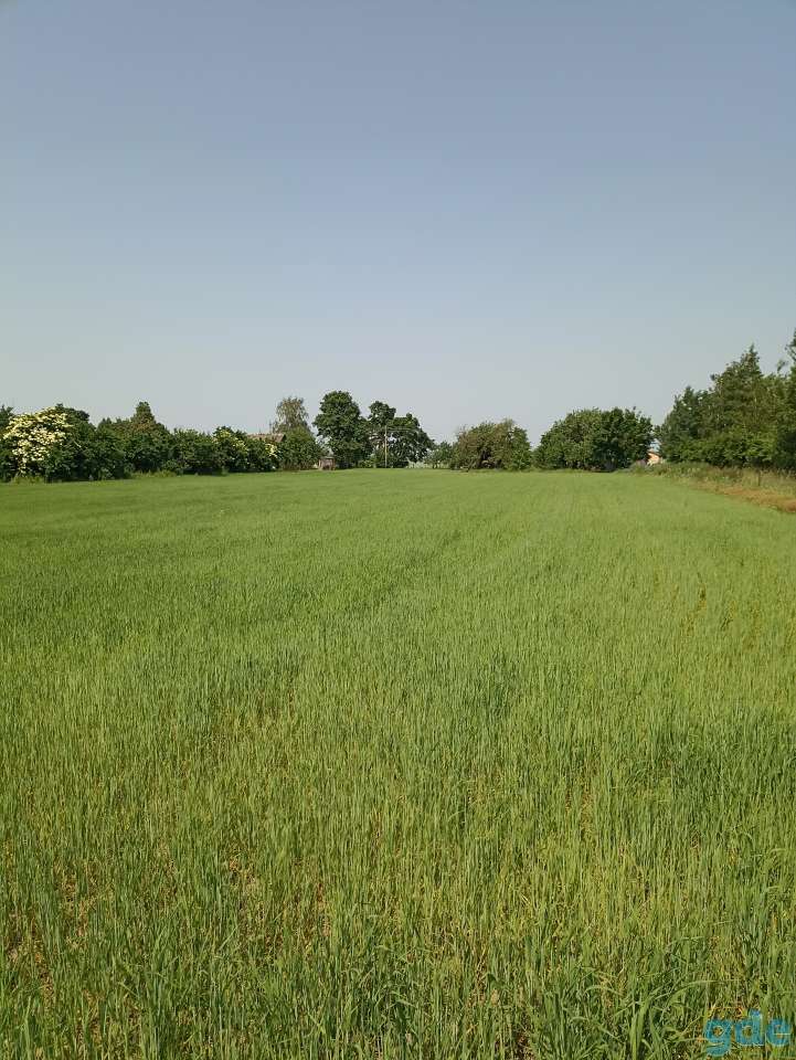 Продам участок с залитым фундаментом, Минская обл., район, д. Ужанка, ул. Климука, д. 11, фотография 2