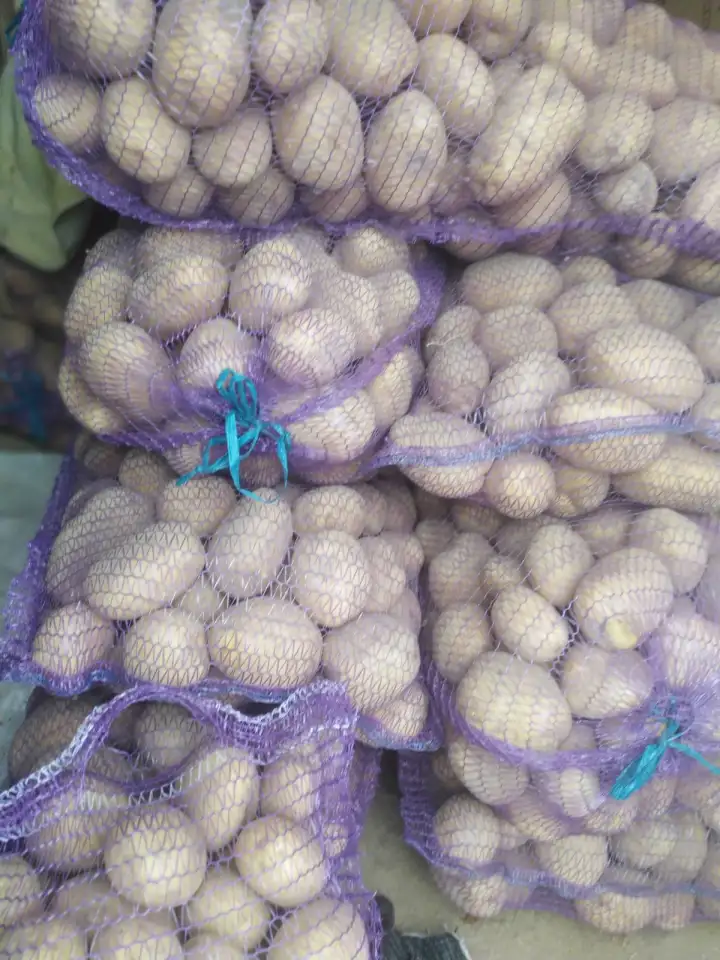 Продам картофель крупный, фотография 1