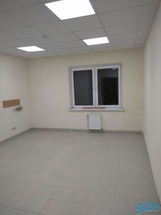 Сдается офис 21 кв м БЦ Пушкинский, фотография 2