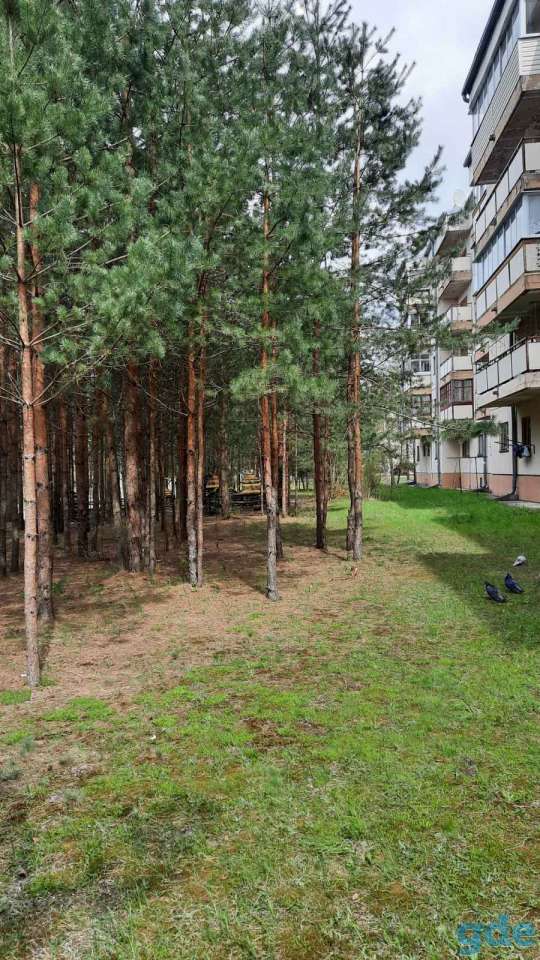 Продам квартиру в Борисове, Днепровская 48, фотография 13