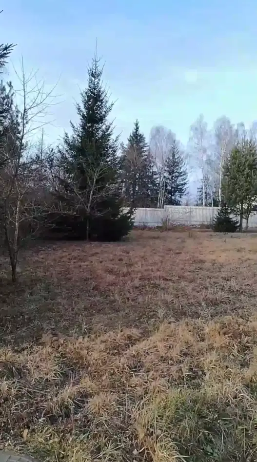 Продам Земельный участок ст ВЕРЯГИ, фотография 4