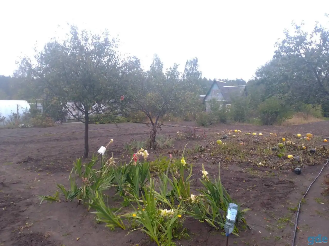Продам участок с Домиком, Черемашня, фотография 1