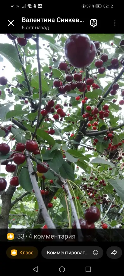 Продажа недвижимости, г гомельской области, фотография 12