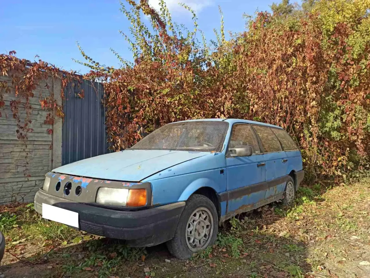 Автомобиль Volkswagen Passat, фотография 2