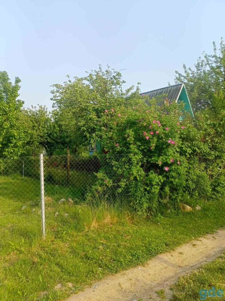 Продам участок, С/Т»Веряги», фотография 2