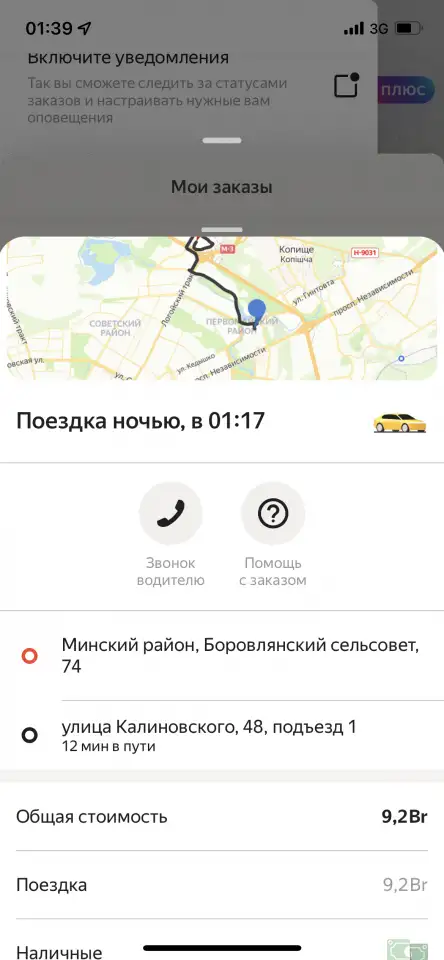 Щенки бишон -фризе, фотография 9