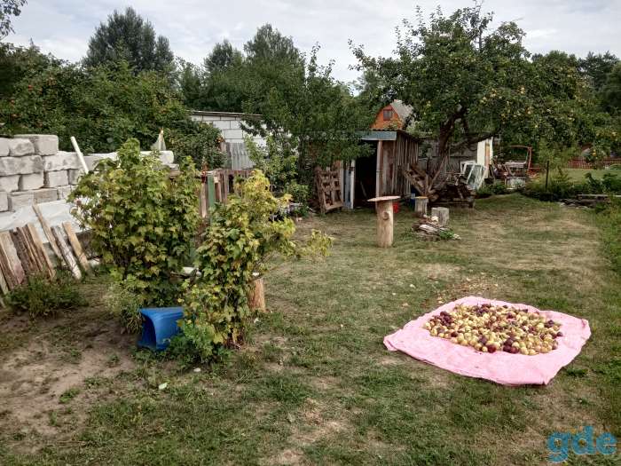Дача, Ошмянский район, деревня Михалкони, фотография 1