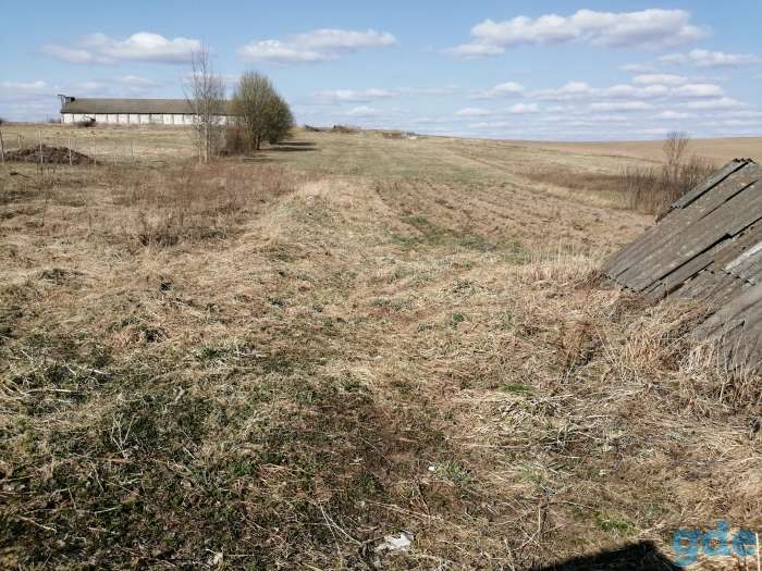 Продам дом с участком, фотография 3