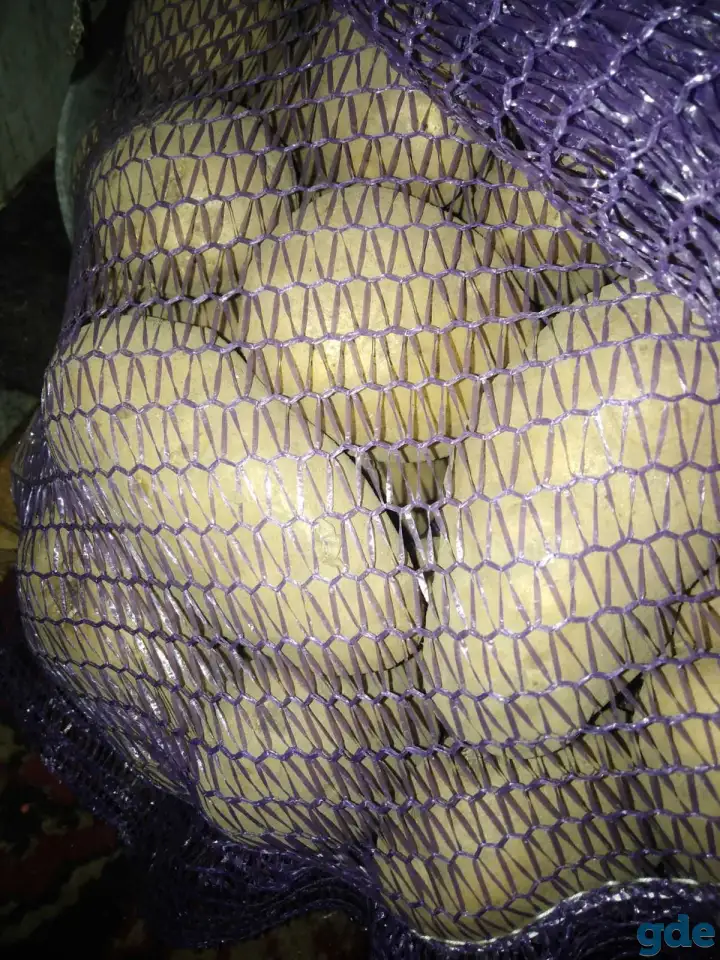 овощи, фотография 1
