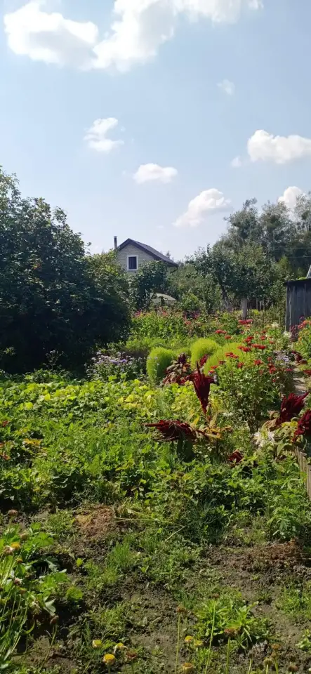 Продам дачу, район с/т Промстроитель, фотография 8