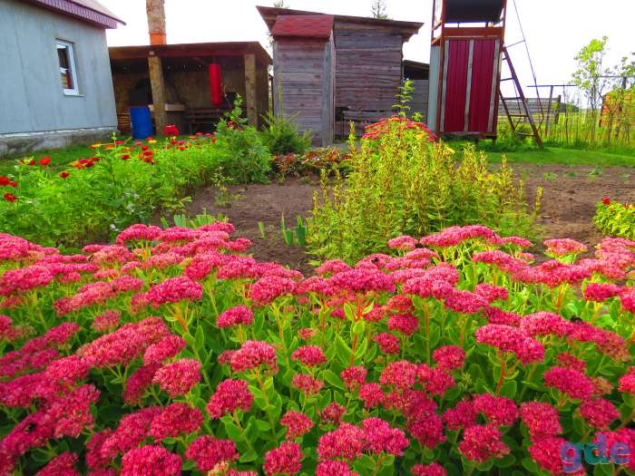 Продажа дома, Гродненская обл, Дятловский р-он, д Курпеши 1, фотография 3