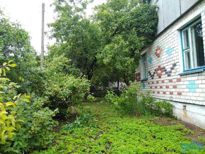 Продаю жилой дом в д.Боровцы Городокского района, фотография 8