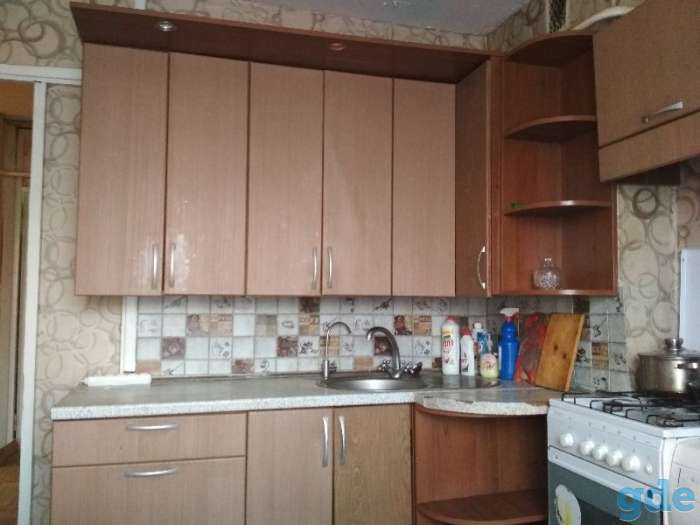 Квартира на сутки и более в г.Лепель и д .Боровка, фотография 3