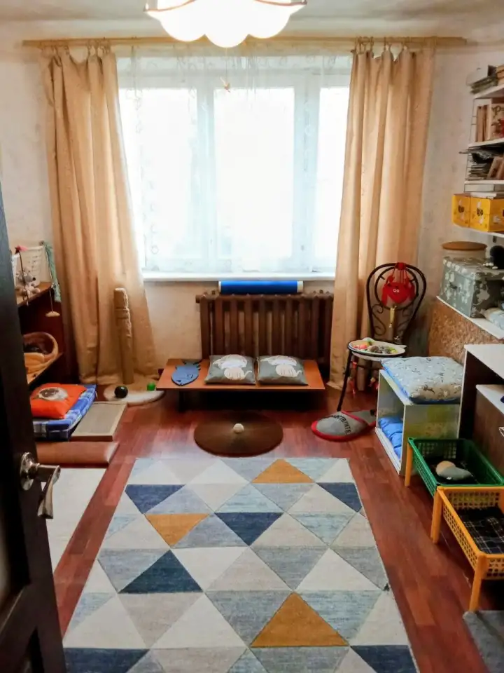Квартирная передержка для котов, фотография 1