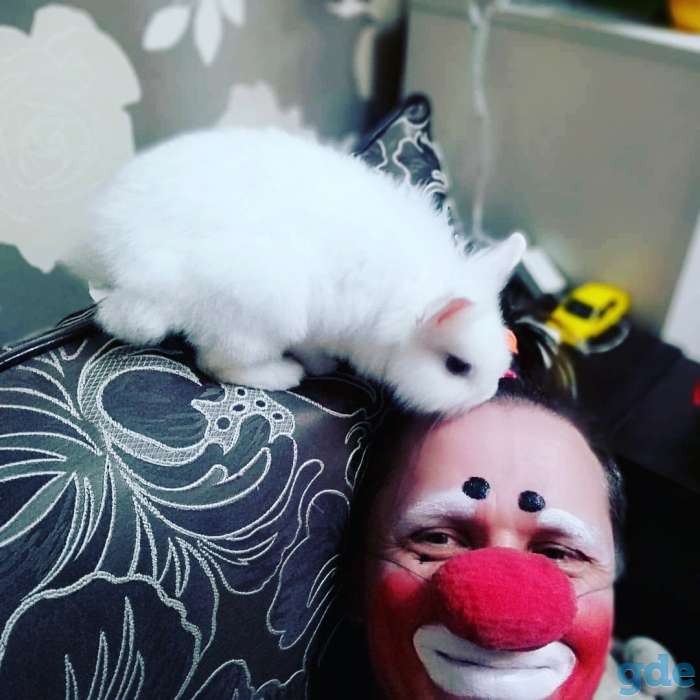 Клоун Жорик, фотография 12