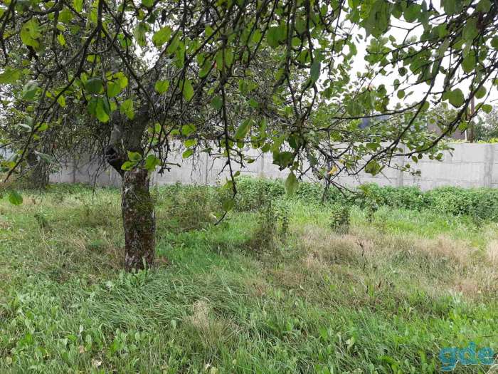 Продам дом в деревне Прудок (3км от станции Осиповичи), фотография 9