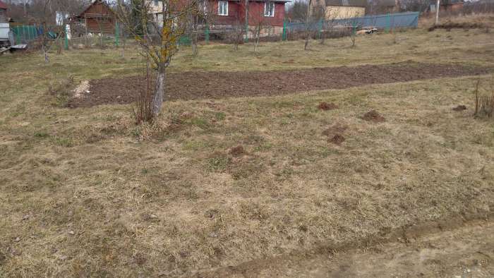 Срочно продам с/т Фантазия-Силичи, фотография 8