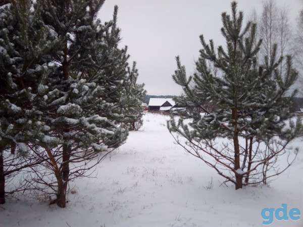 продажа дома, фотография 3