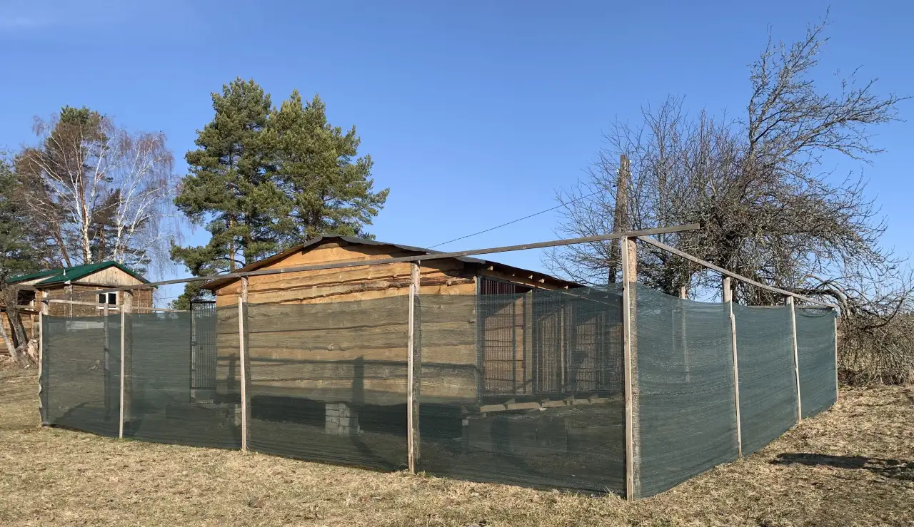 Дрессировка собак, фотография 8