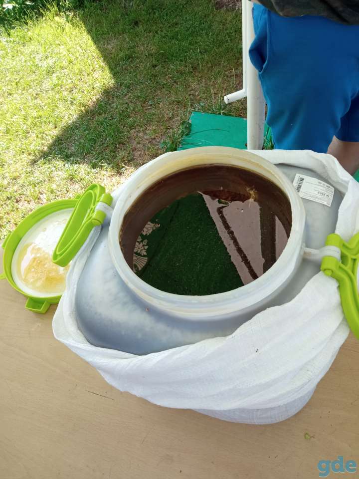 Продам мед, фотография 1