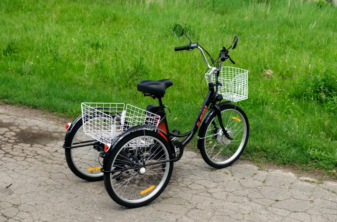 Электровелосипед AVM E-ALFA TRIKE 24, фотография 7