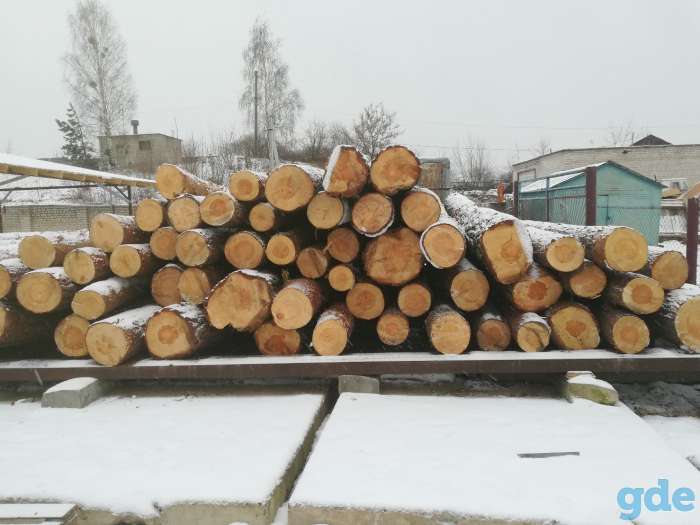 Дома из бруса, бани, беседки, фотография 8