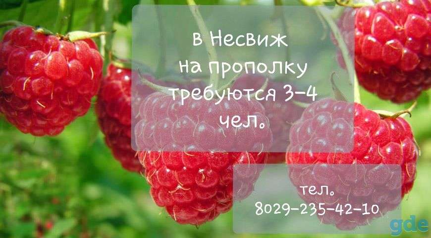 Требуются на подработку, фотография 1