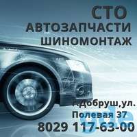 Автозапчасти и СТО в г. Добруш, 