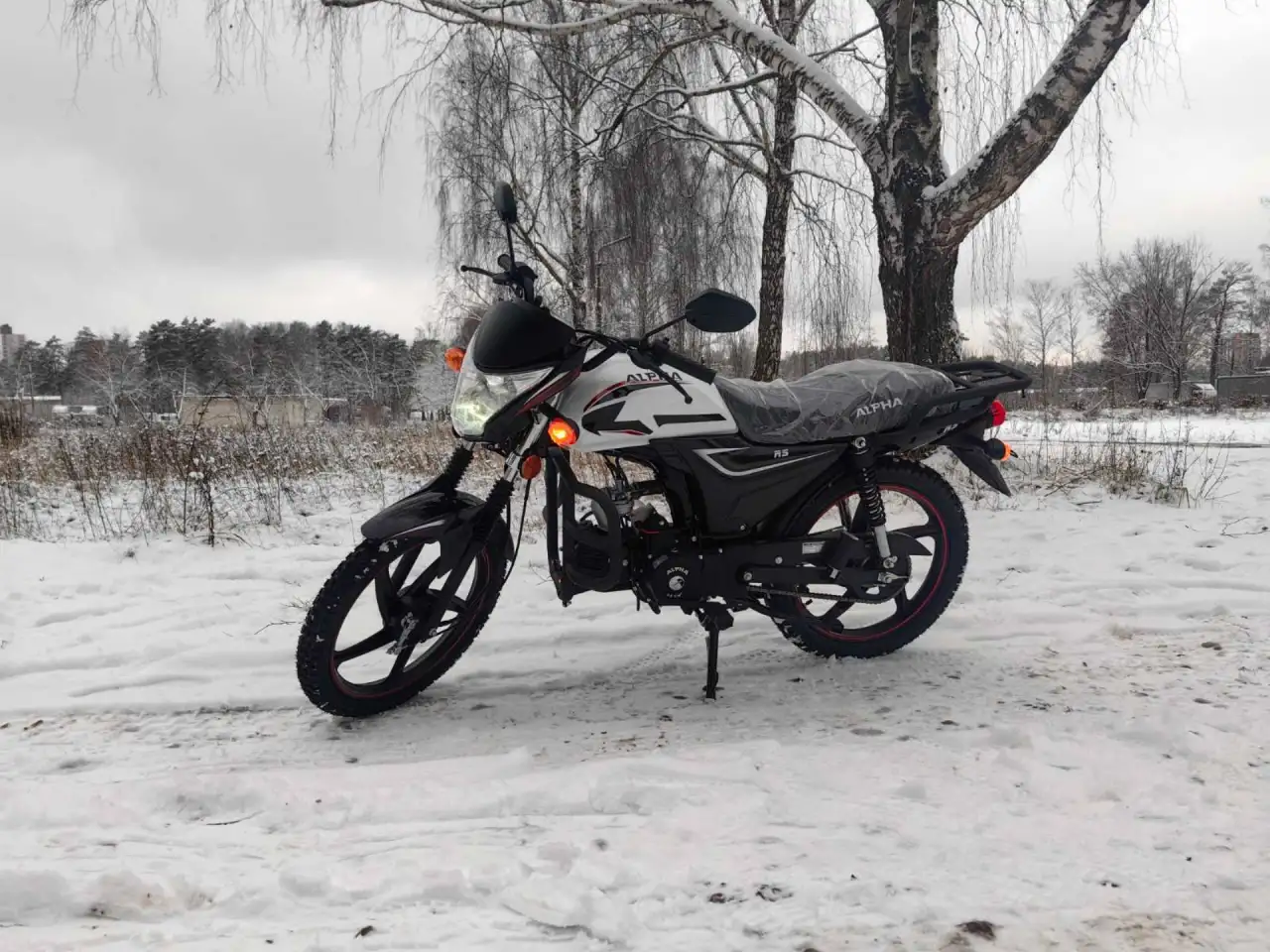 Мопед Motoland Альфа RS 11, фотография 6