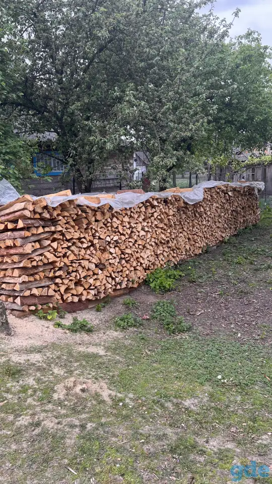 Продажа дома и парников, Деревня Оздамичи, пер. Красный 3, фотография 4